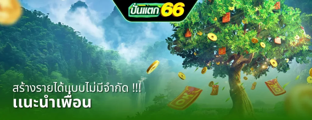 puntaek66