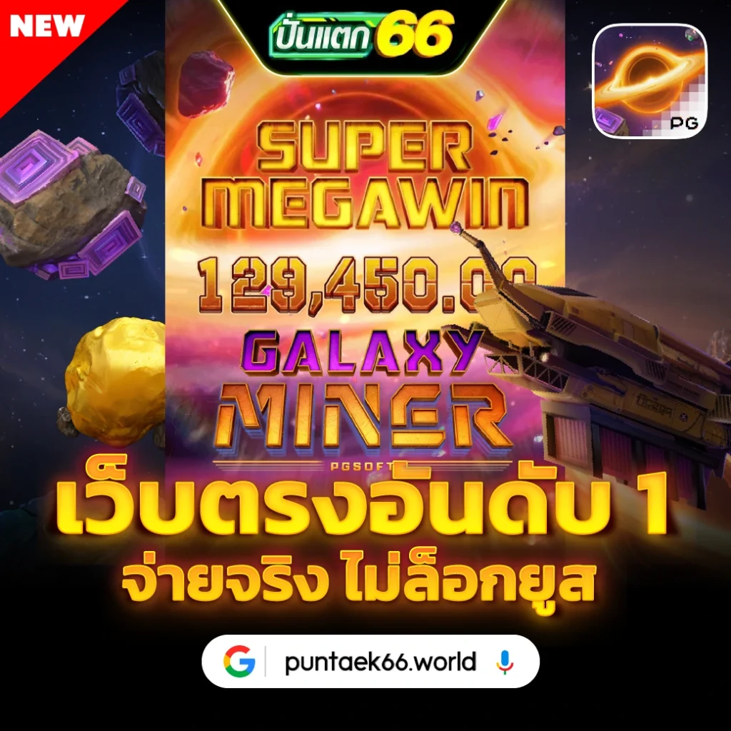 puntaek66